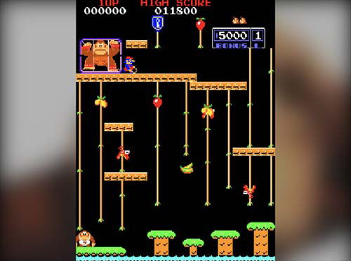 Donkey Kong Jr.